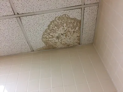 Brown water stain spreading across a ceiling tile above a tiled room